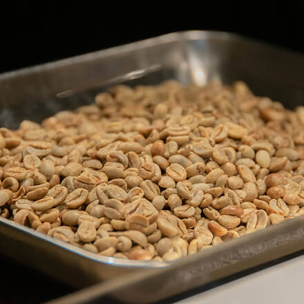 焙煎前のコーヒー豆