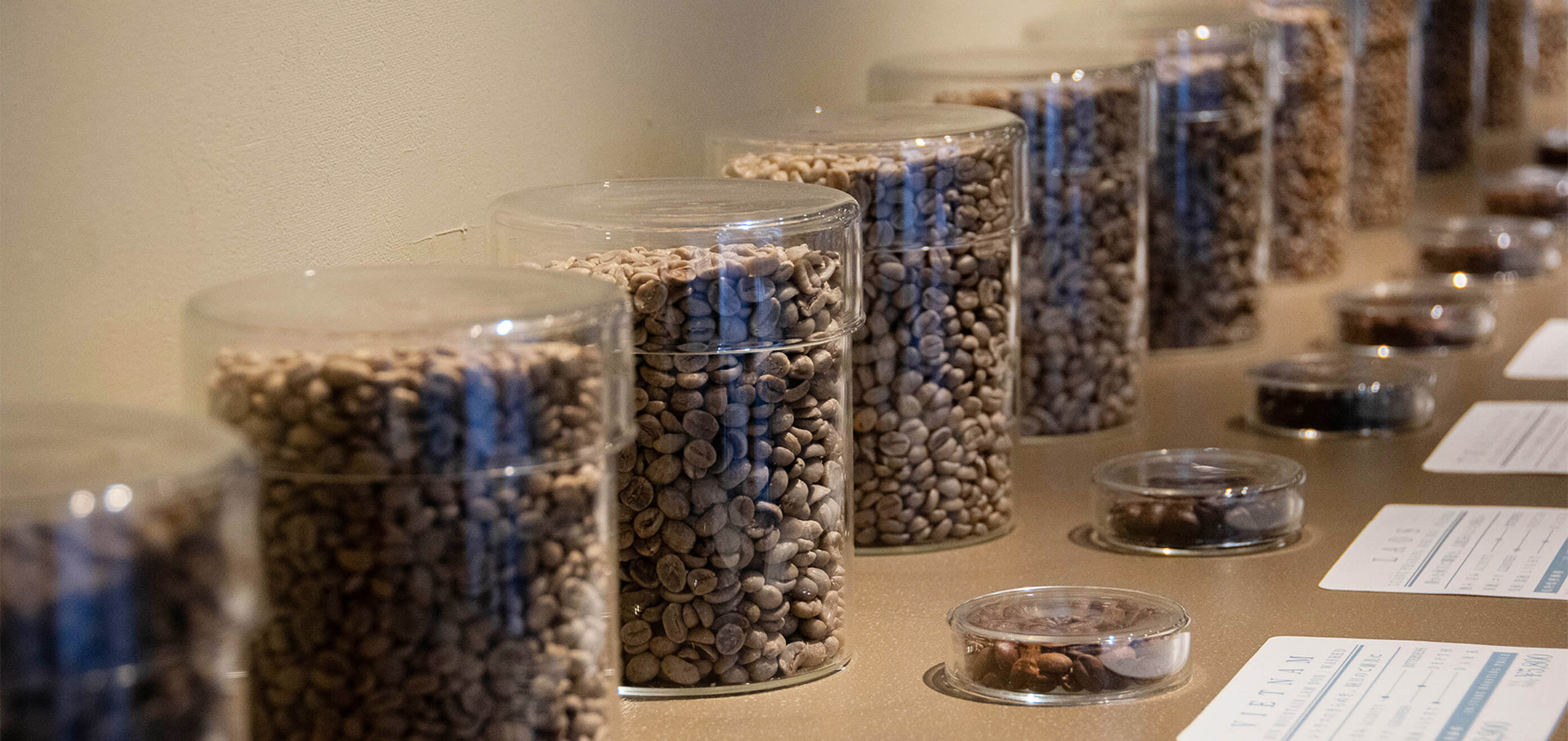 コーヒー豆のサンプル