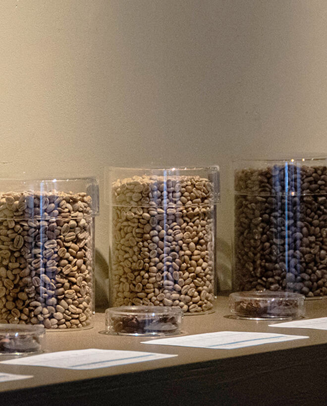 コーヒー豆を選ぶ