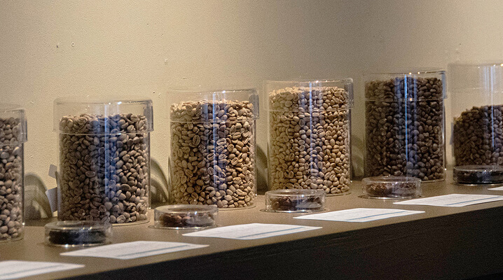 コーヒー豆を選ぶ